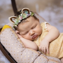 Neugeborenenfotos Erfurt